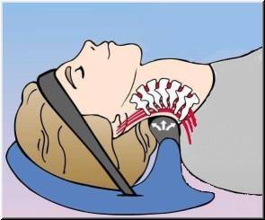 Posture Pump 1000 Reviewed